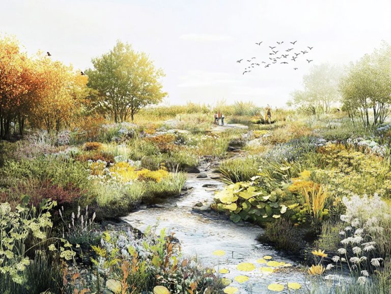 The Principles of Ecological Restoration in Design